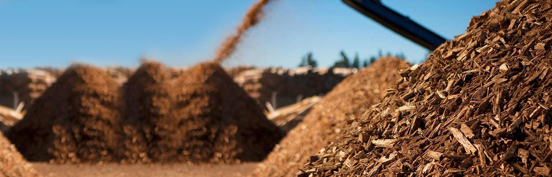 wood chipping hobart