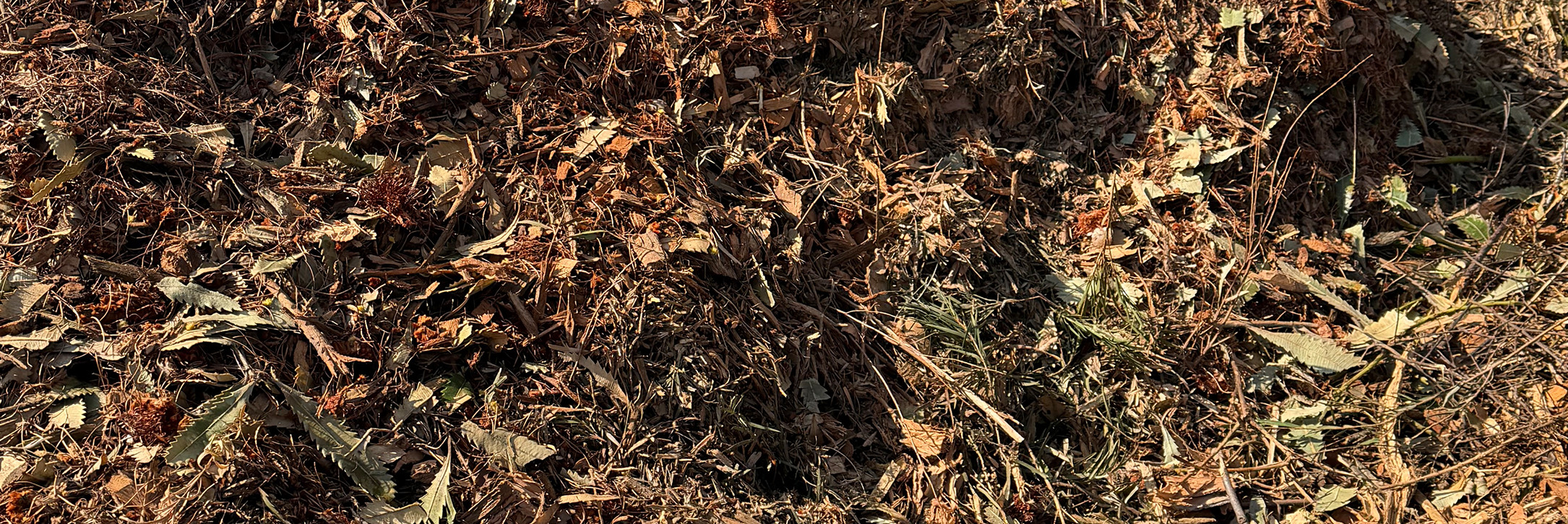 Wood Chipping