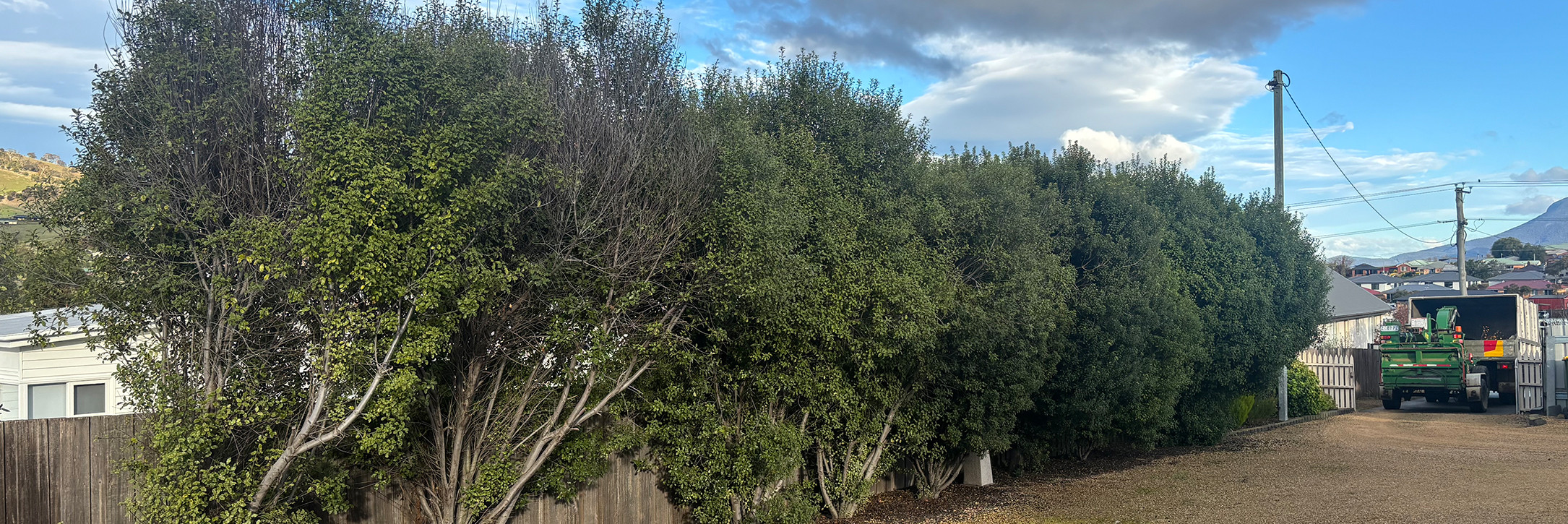 Powerline Clearance