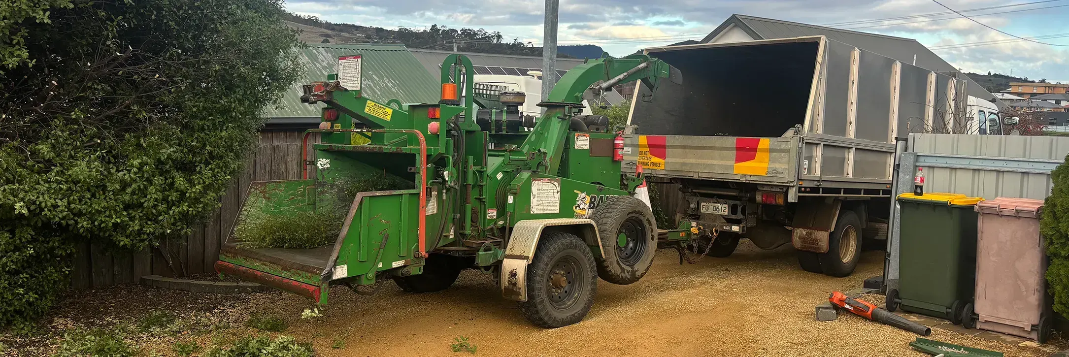 Tree Felling & Removal