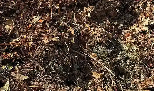 Wood chipper processing tree branches into mulch
